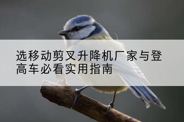 萝北电动升降机厂家-选移动剪叉升降机厂家与登高车必看实用指南