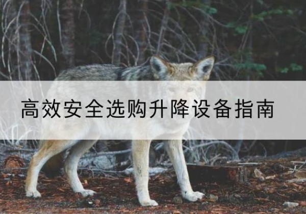 萝北升降货梯厂家推荐-*安全选购升降设备指南