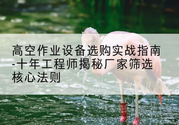 萝北剪叉式升降机厂家-高空作业设备选购实战指南-十年工程师揭秘厂家筛选核心法则